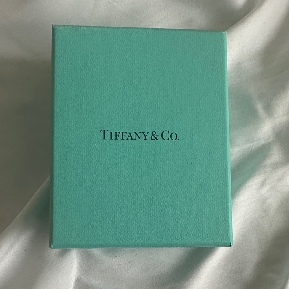 Empty Tiffany & Co. Turquoise Gift Box